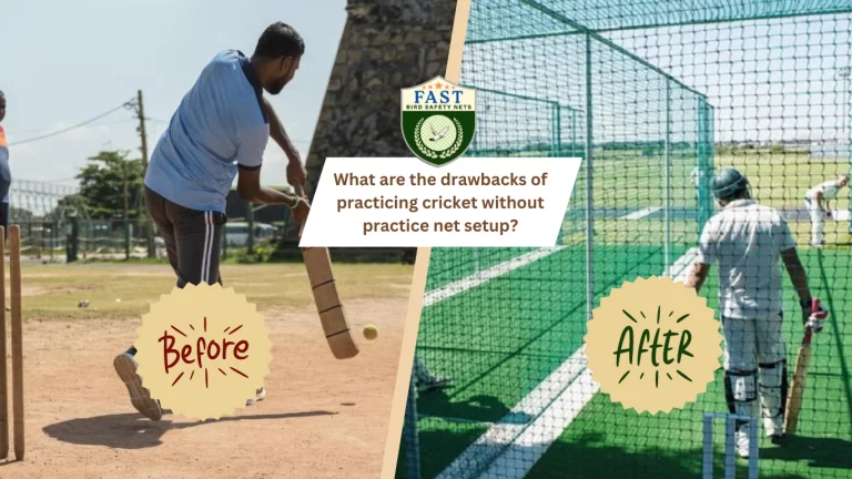What are the Drawbacks of practicing Cricket without Practice Net setup?