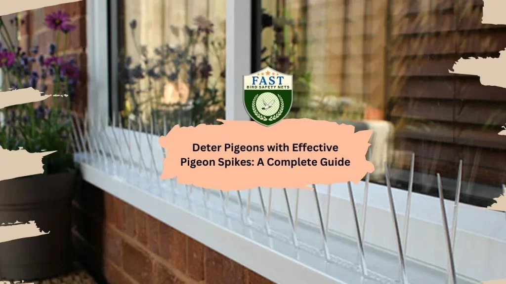 Deter Pigeons with Effective Pigeon Spikes