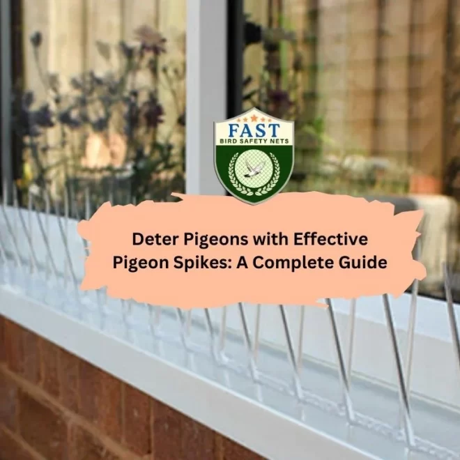 Deter Pigeons with Effective Pigeon Spikes: A Complete Guide
