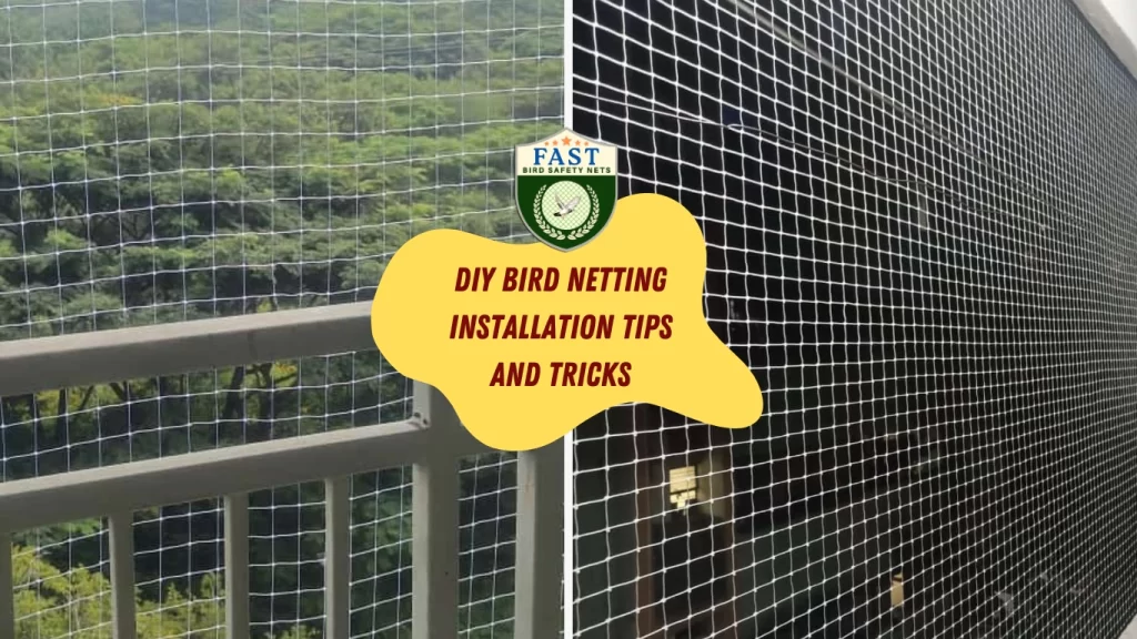 DIY Bird Netting Installation Tips