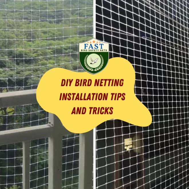 DIY Bird Netting Installation Tips and Tricks