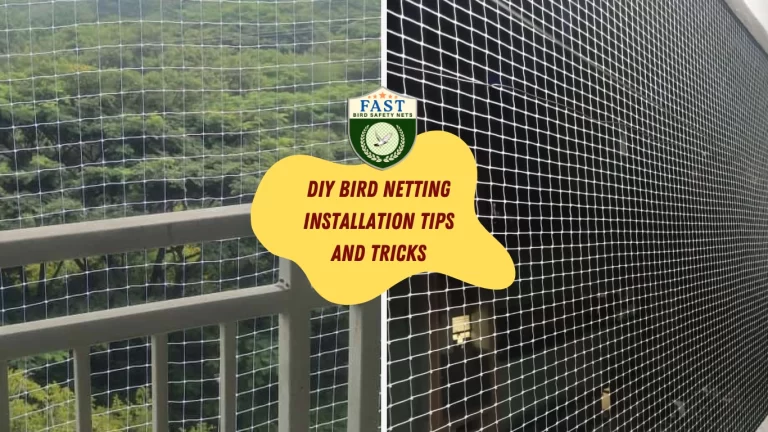 DIY Bird Netting Installation Tips and Tricks