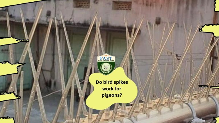 Do bird spikes work for pigeons?