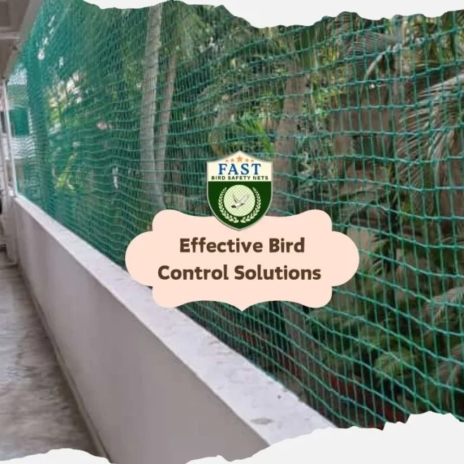 Effective Bird Control Solutions