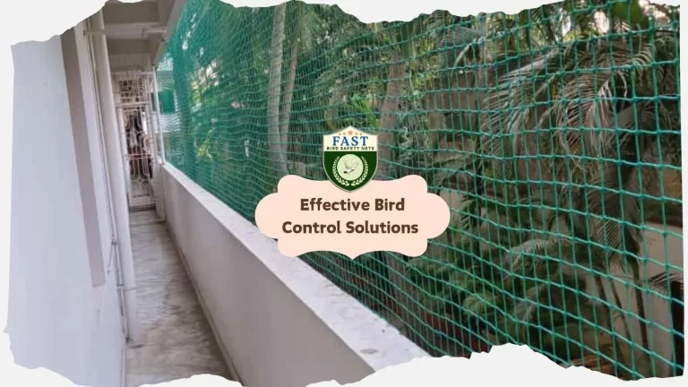 Effective Bird Control Solutions
