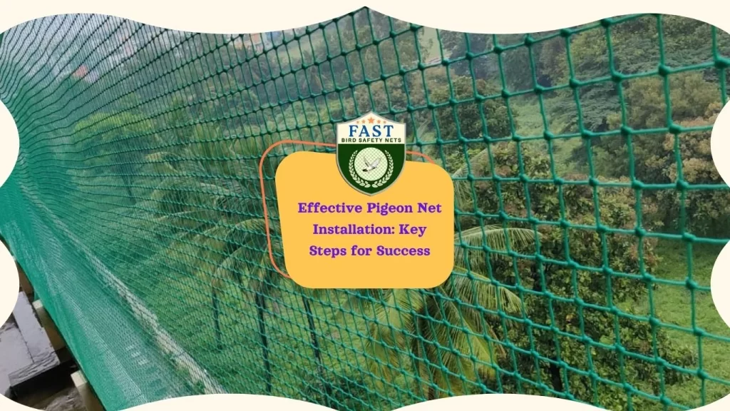 Effective Pigeon Net Installation