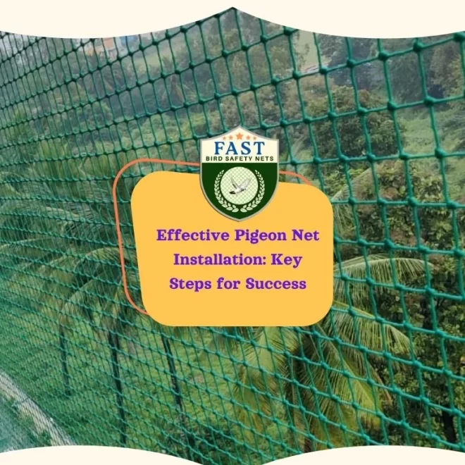 Effective Pigeon Net Installation: Key Steps for Success