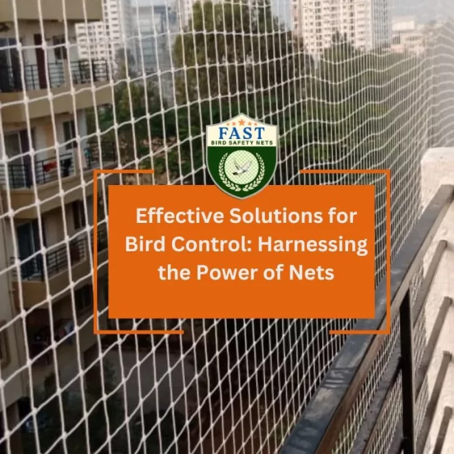 Effective Solutions for Bird Control: Harnessing the Power of Nets