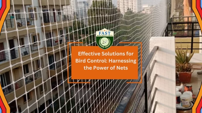 Effective Solutions for Bird Control: Harnessing the Power of Nets