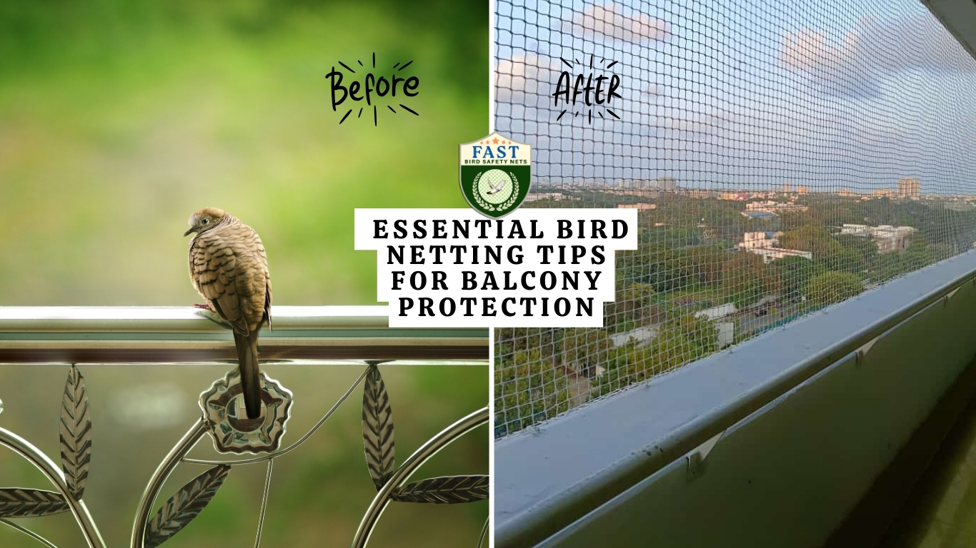 Essential Bird Netting Tips for Balcony Protection Fast Safety Nets