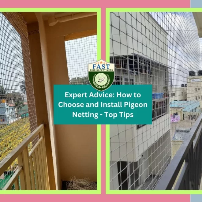 Expert Advice: How to Choose and Install Pigeon Netting – Top Tips
