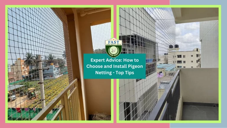 Expert Advice: How to Choose and Install Pigeon Netting – Top Tips