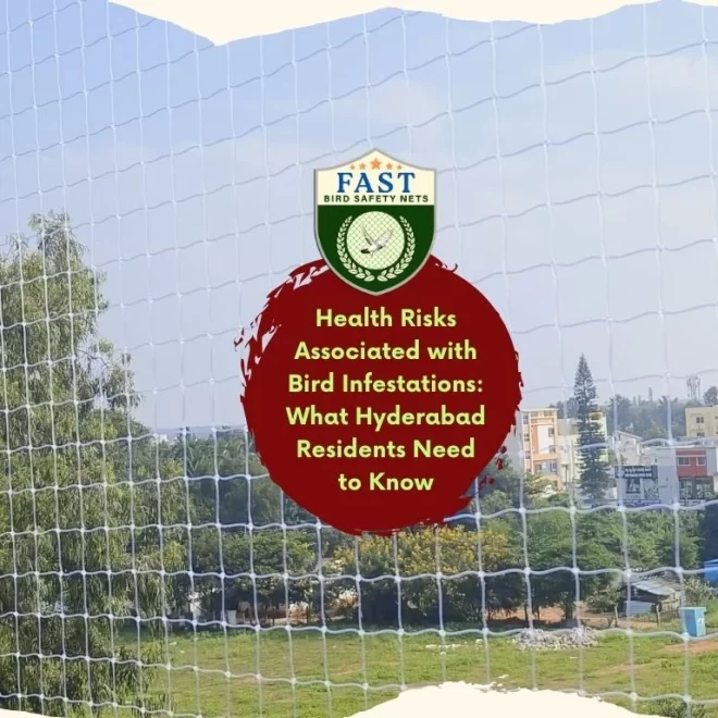 Health Risks Associated with Bird Infestations: What Hyderabad Residents Need to Know