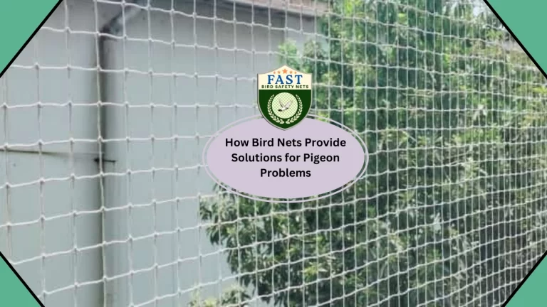 How Bird Netting Provide Solutions for Pigeon Problems?