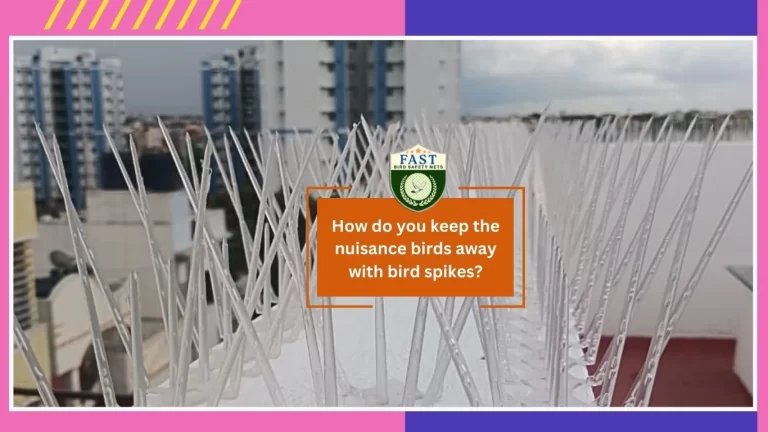 How do you keep the nuisance birds away with bird spikes?