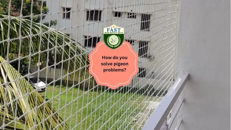 How do you solve pigeon problem?