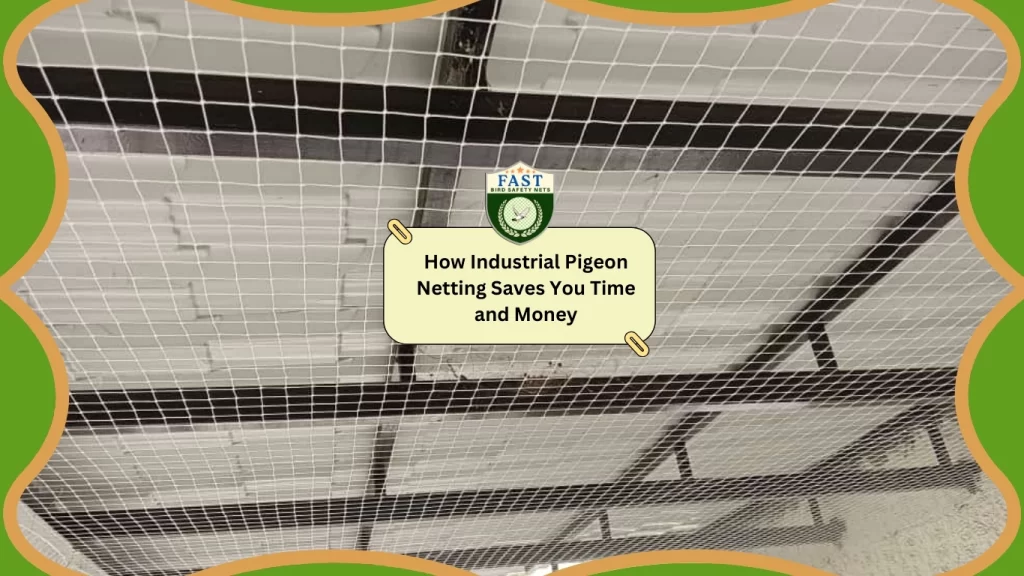 How Industrial Pigeon Netting Saves your Time and Money