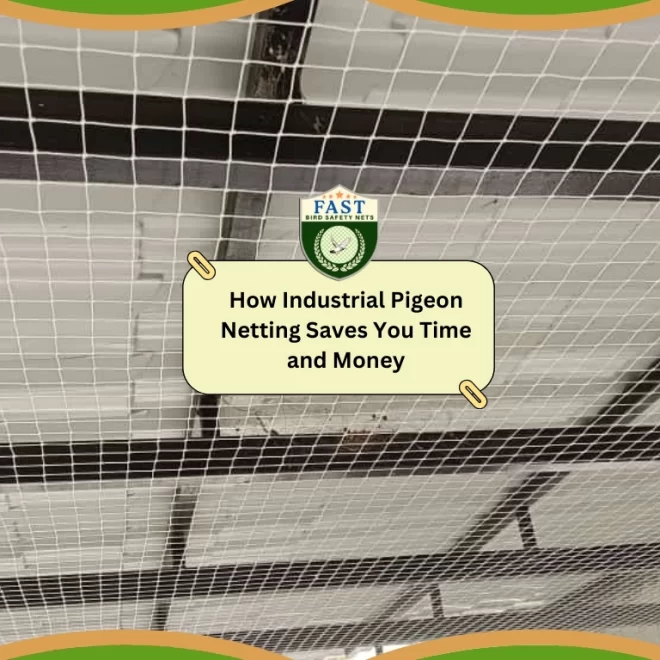 How Industrial Pigeon Netting Saves You Time and Money?