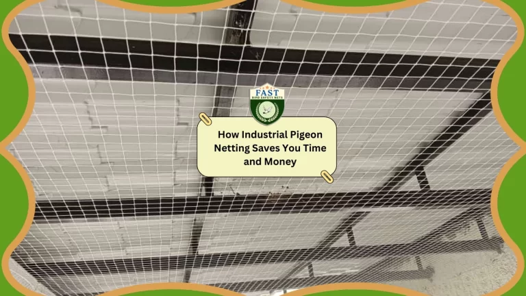 How Industrial Pigeon Netting Saves You Time and Money?