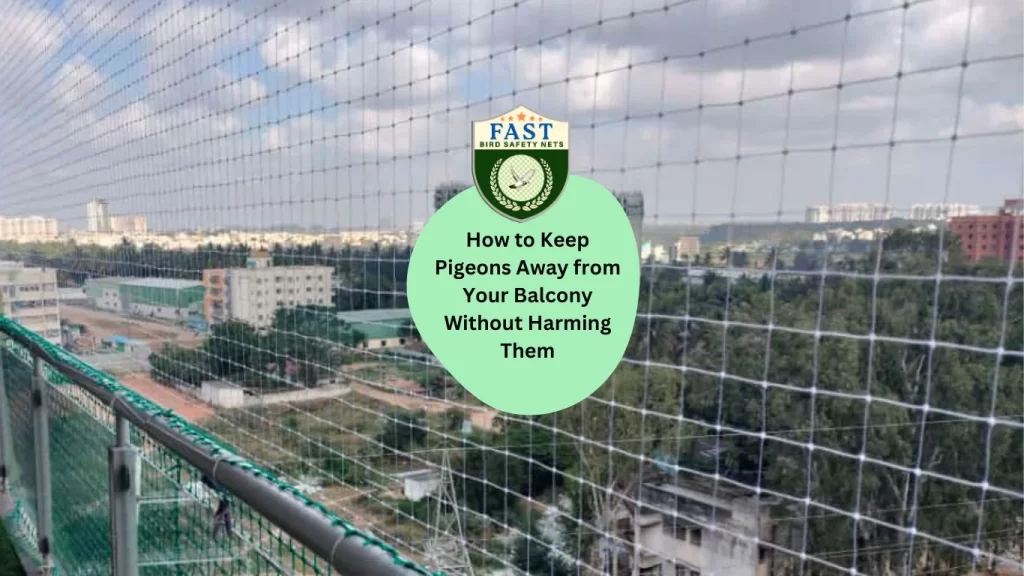 How to Keep Pigeons Away from your Balcony