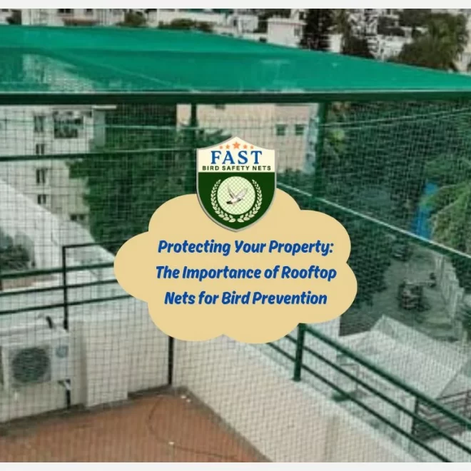 Protecting Your Property: The Importance of Rooftop Nets for Bird Prevention