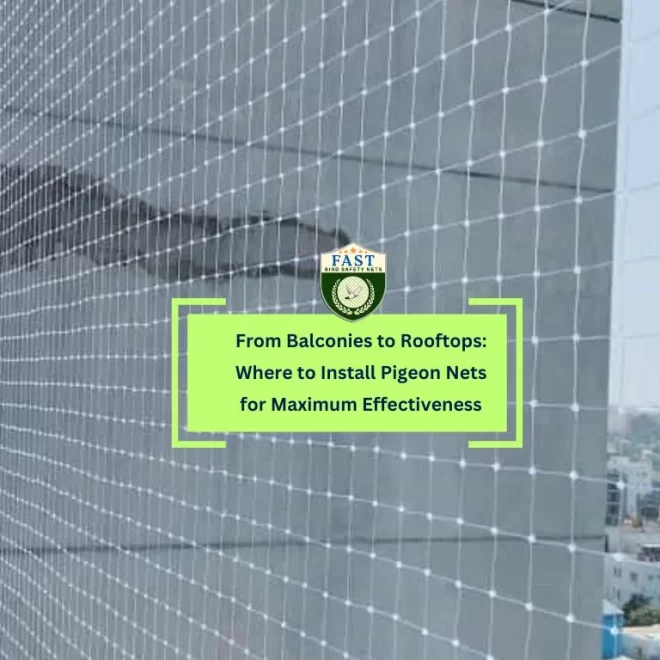 From Balconies to Rooftops: Where to Install Pigeon Nets for Maximum Effectiveness