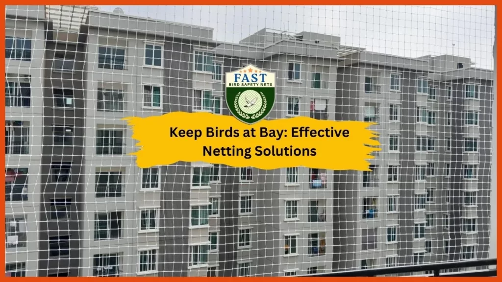 Keep Birds at Bay Effective Netting Solutions