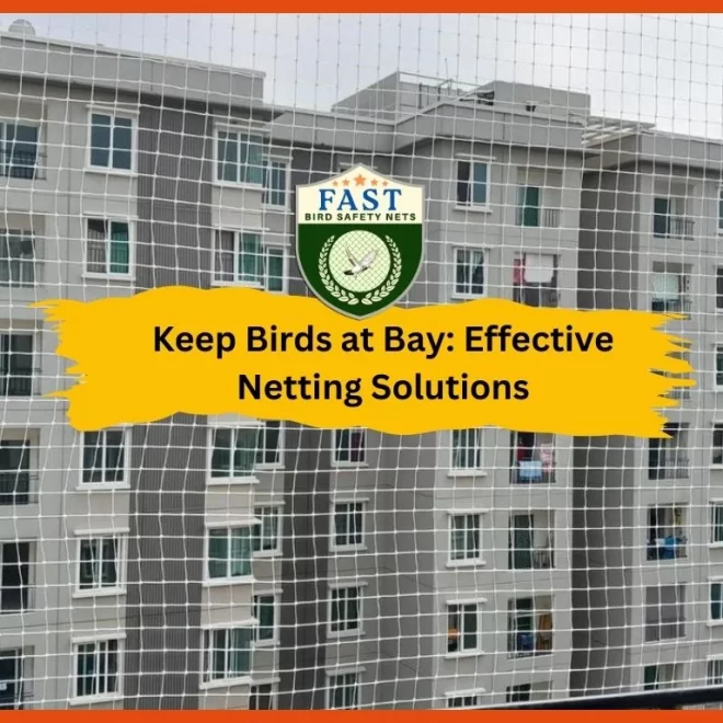 Keep Birds at Bay: Effective Netting Solutions