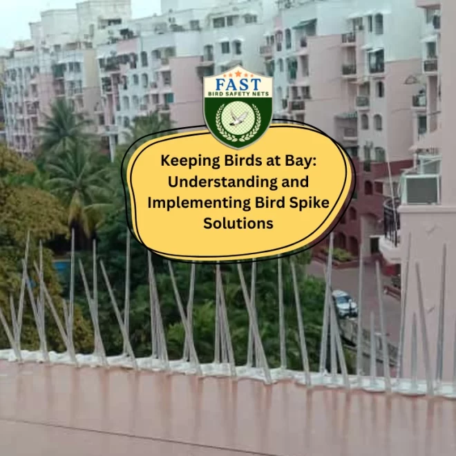 Keeping Birds at Bay: Understanding and Implementing Bird Spike Solutions