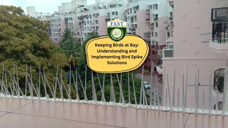 Keeping Birds at Bay: Understanding and Implementing Bird Spike Solutions