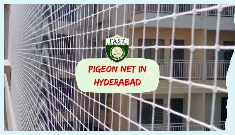 Pigeon Netting in Hyderabad