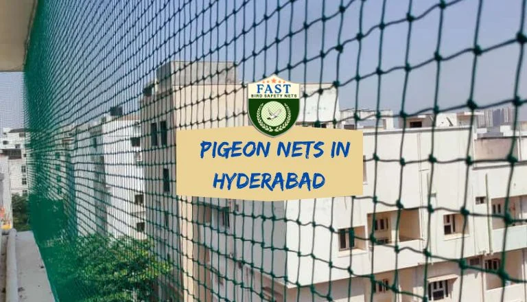 Net for Pigeons in Hyderabad