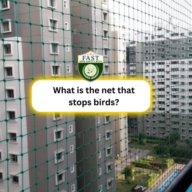 What is the net that stops birds? – Anti Bird Nets: Solution for Bird Control
