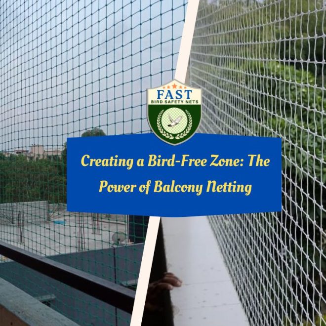 Creating a Bird-Free Zone: The Power of Balcony Netting