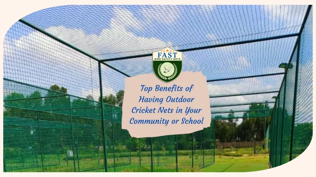 outdoor cricket net setup