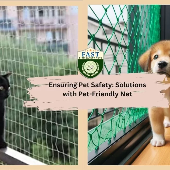 Ensuring Pet Safety: Solutions with Pet Net