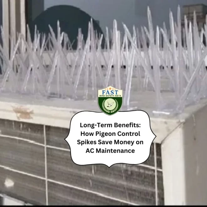 Long-Term Benefits: How Pigeon Control Spikes Save Money on AC Maintenance