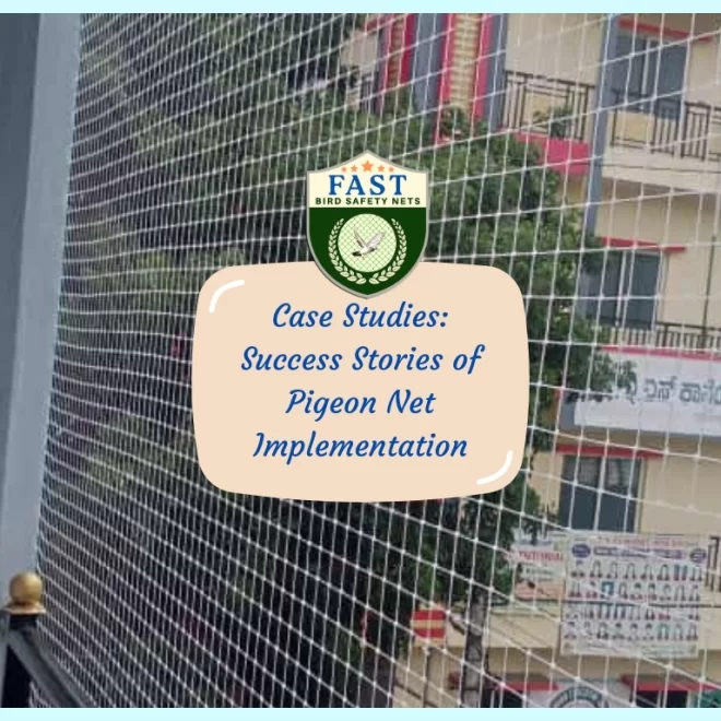 Case Studies: Success Stories of Pigeon Net Implementation in Hyderabad