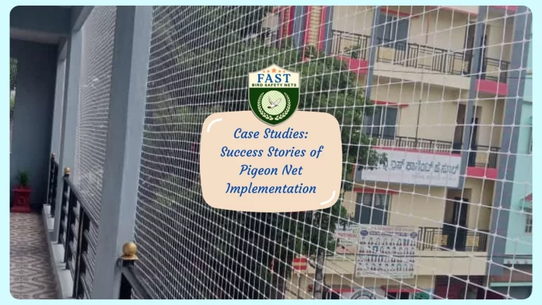 Case Studies: Success Stories of Pigeon Net Implementation in Hyderabad