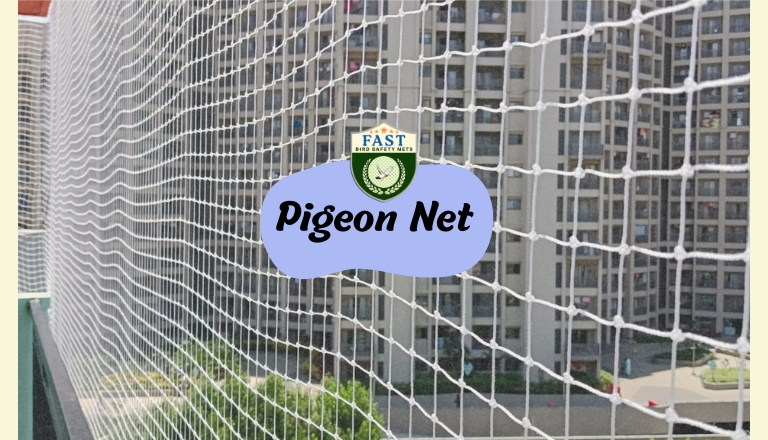 Pigeon Nets