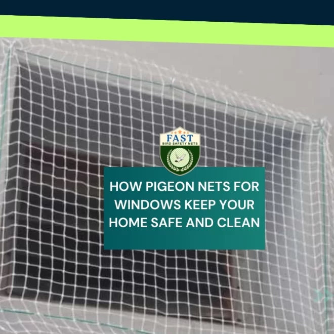 How Pigeon Nets for Windows Keep Your Home Safe and Clean?