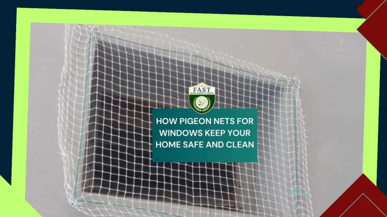 How Pigeon Nets for Windows Keep Your Home Safe and Clean?
