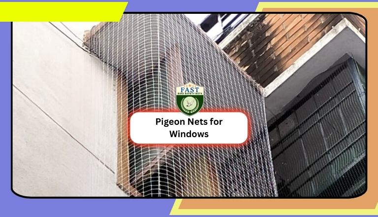 Pigeon Net for Windows