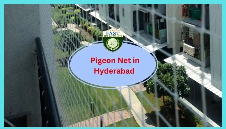 Pigeon Net in Hyderabad