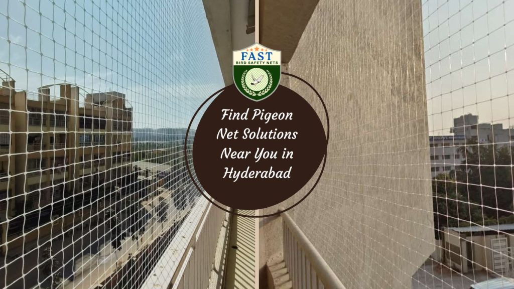 Pigeon Net Solutions Near in Hyderabad