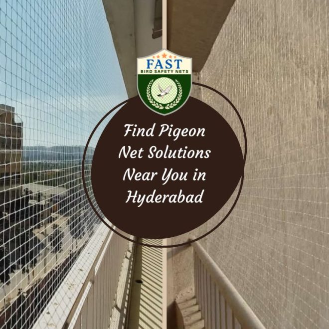 Find Pigeon Net Solutions Near You in Hyderabad