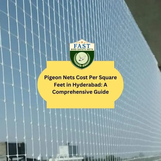 Pigeon Nets Cost Per Square Feet in Hyderabad: A Comprehensive Guide