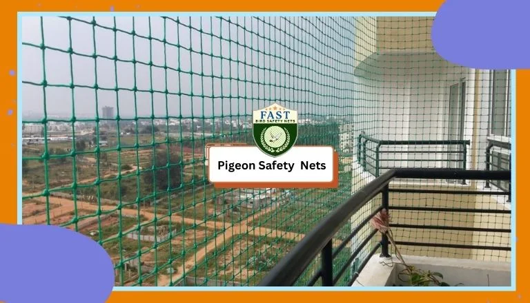 Pigeon Safety Nets 