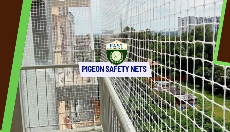 Pigeon Net Fixing