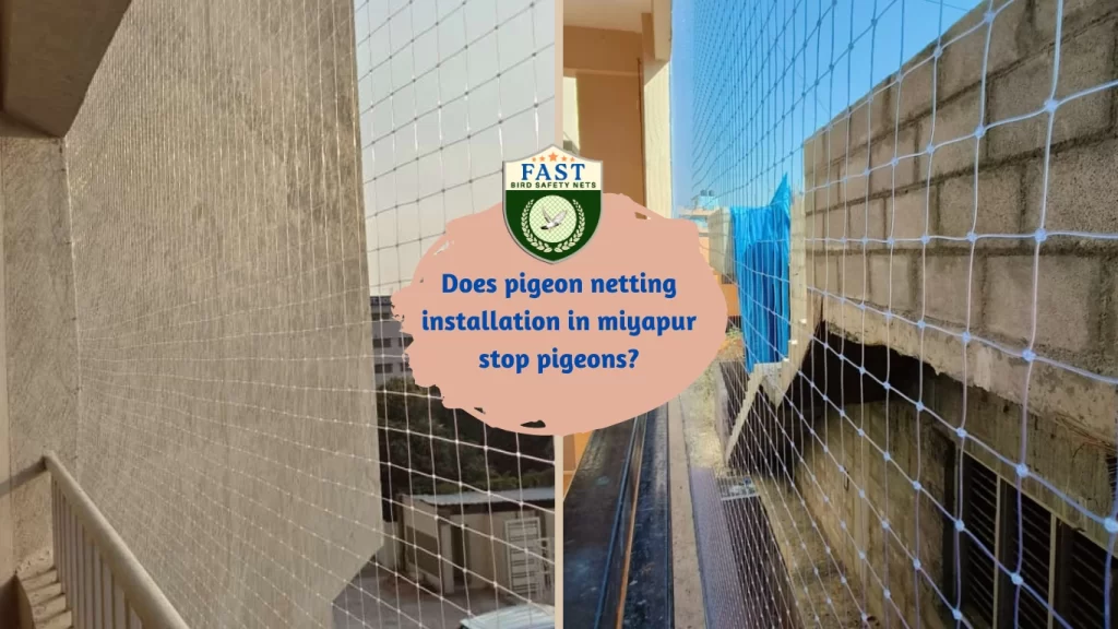 does-pigeon-nets-stop-pigeons-in-miyapur